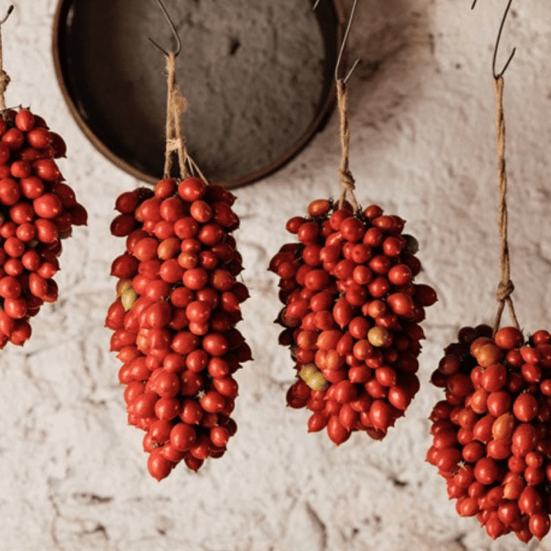 Tomato, Piennolo de Vesuvio