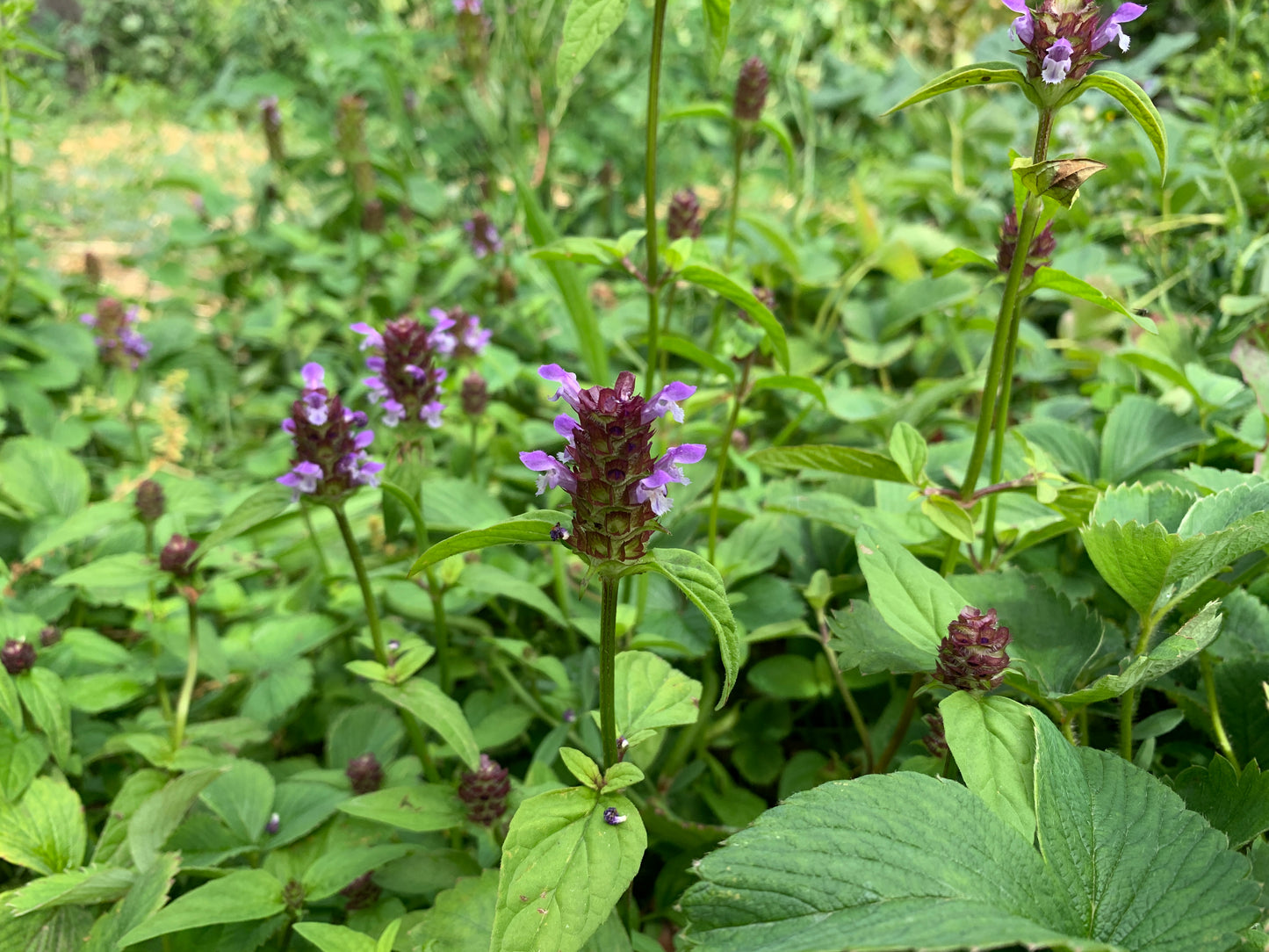 Self-heal