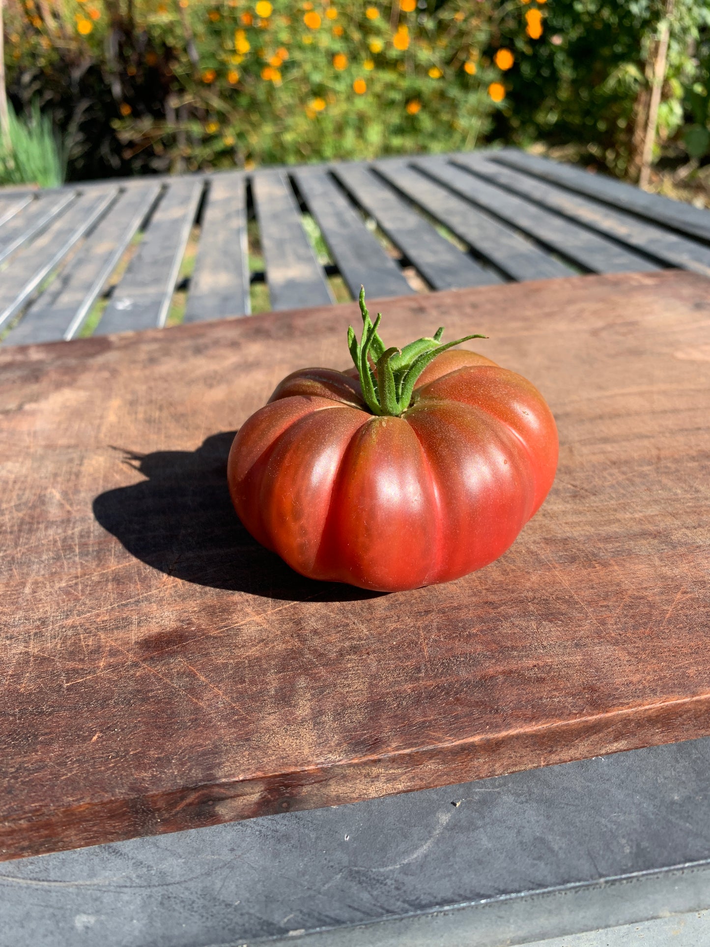 Tomato, Purple Calabash