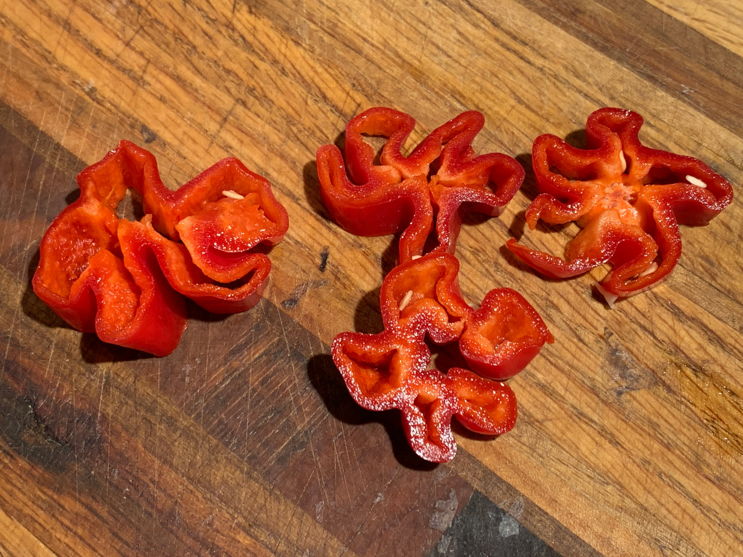 Pepper, Criolla de Cocina