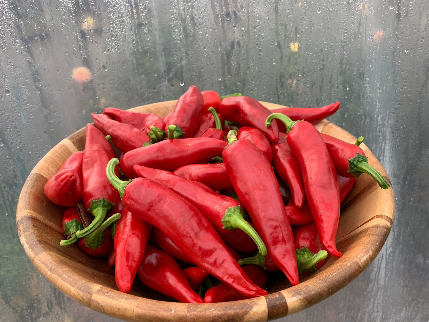 Pepper, D'espelette