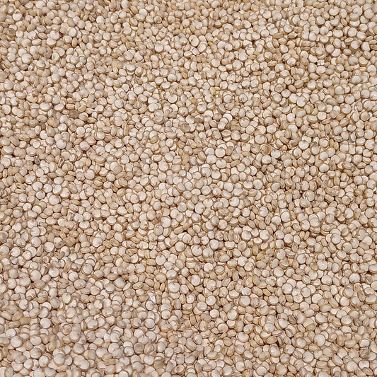 Quinoa, Kas White