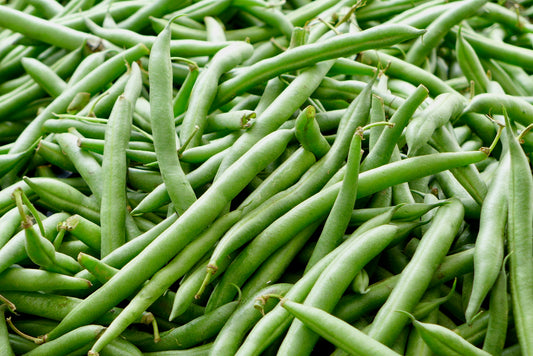 Bean, Provider (Bush Snap)